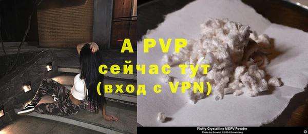 стаф Белокуриха
