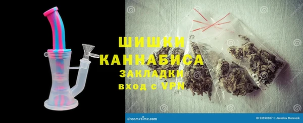 стаф Белокуриха