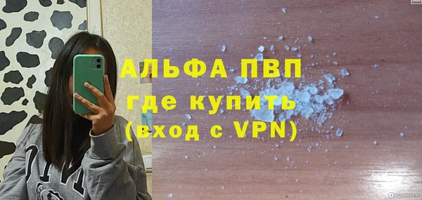 стаф Белокуриха