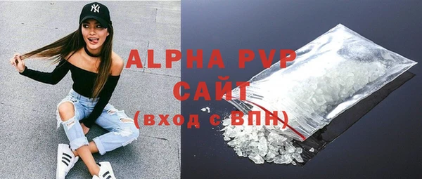 стаф Белокуриха