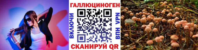 купить   Онега  Псилоцибиновые грибы ЛСД 