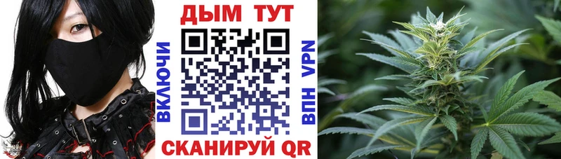купить наркотик  Онега  нарко площадка телеграм  Каннабис индика 